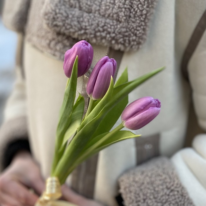 3 лиловых тюльпана с лентой
