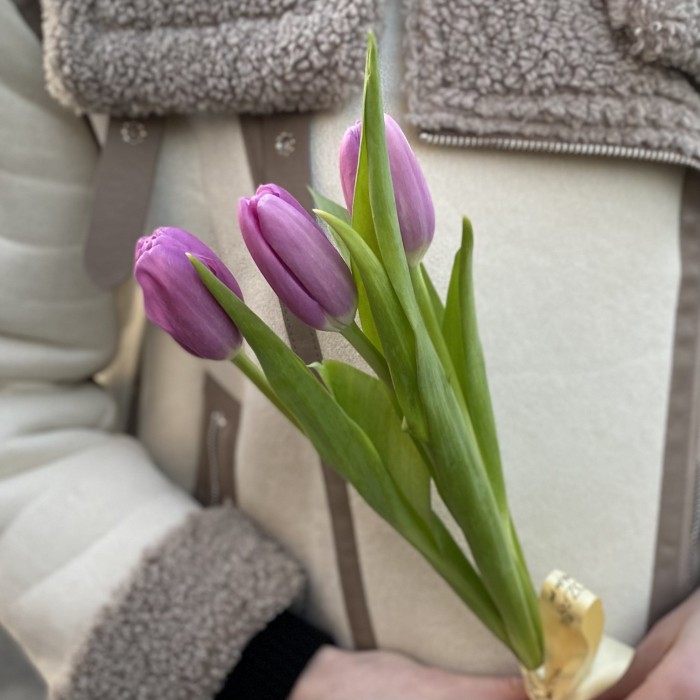 3 лиловых тюльпана с лентой