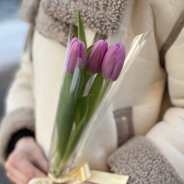 3 лиловых тюльпана в пленке