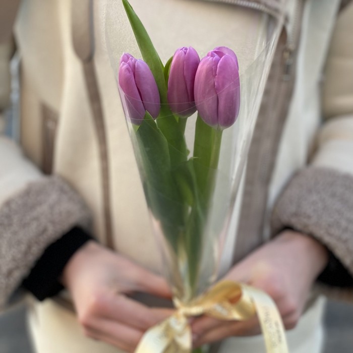 3 лиловых тюльпана в пленке