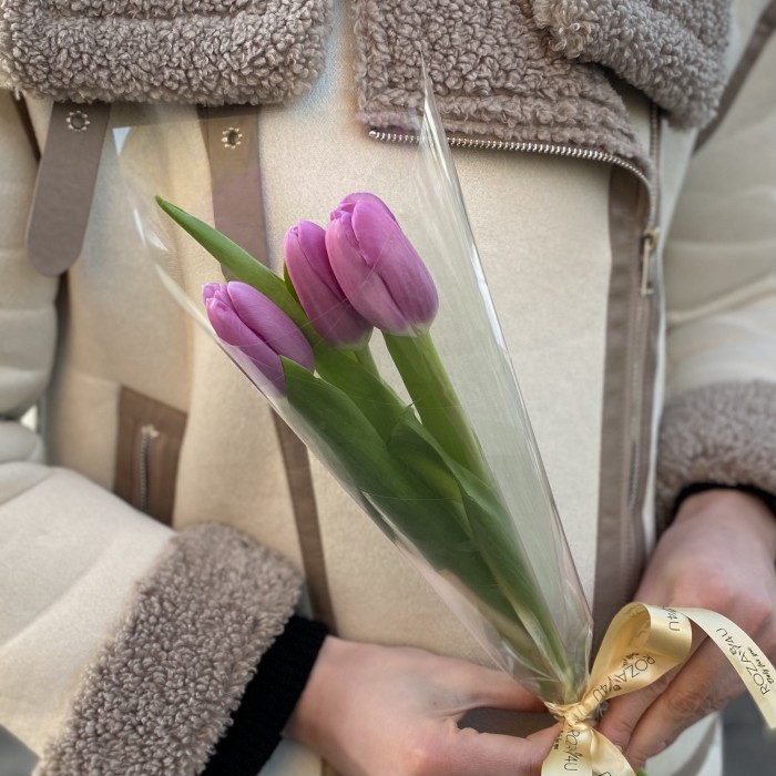 3 лиловых тюльпана в пленке