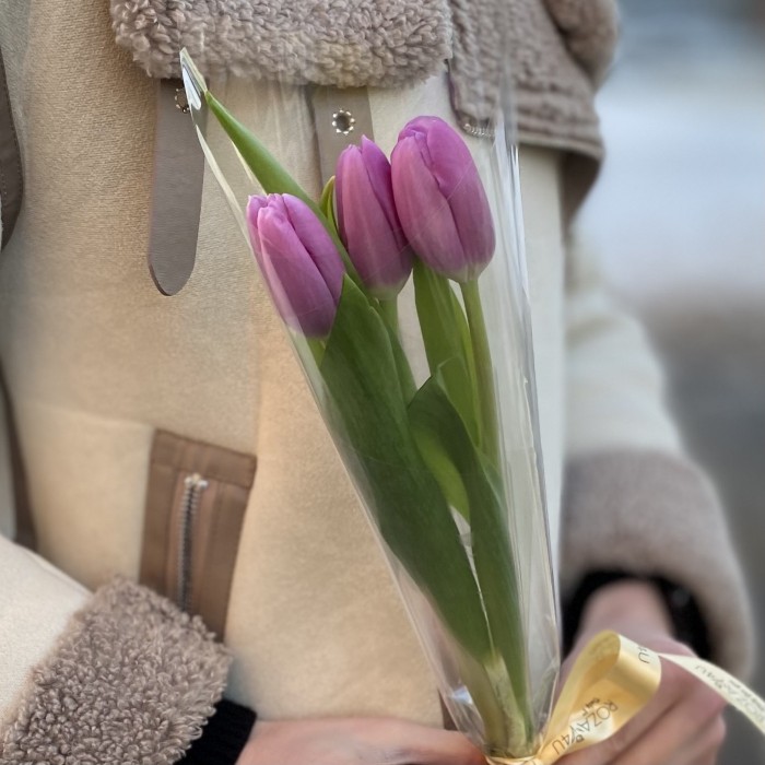 3 лиловых тюльпана в пленке