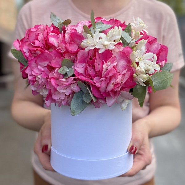 3 малиновые гортензии с агапантусом в коробке