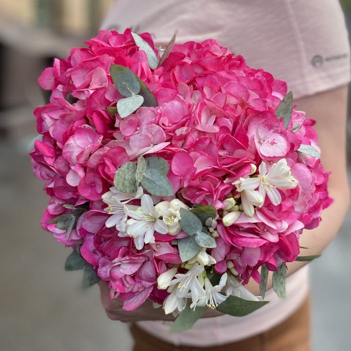 3 малиновые гортензии с агапантусом в коробке