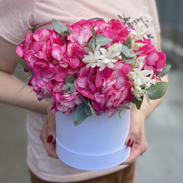 3 малиновые гортензии с агапантусом в коробке