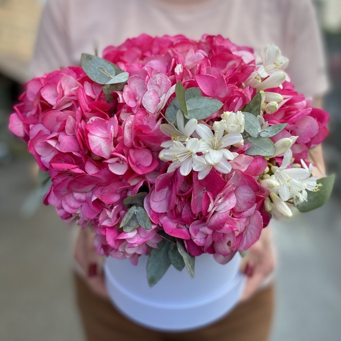 3 малиновые гортензии с агапантусом в коробке