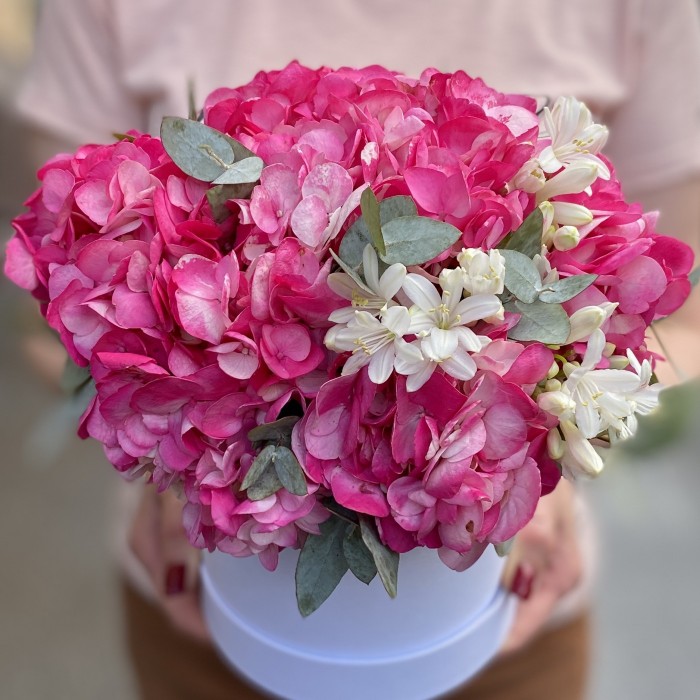 3 малиновые гортензии с агапантусом в коробке