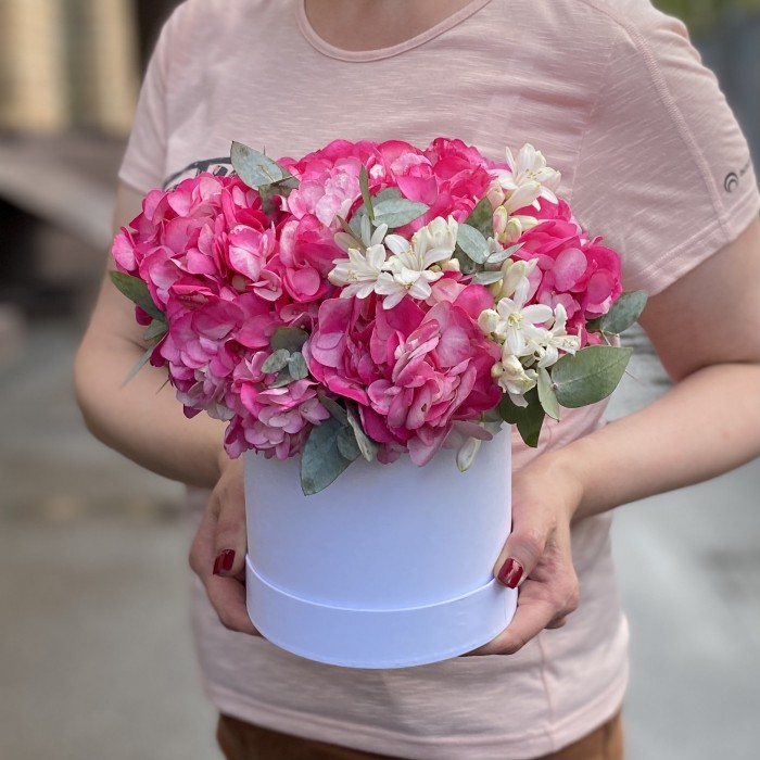 3 малиновые гортензии с агапантусом в коробке