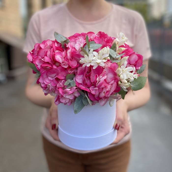 3 малиновые гортензии с агапантусом в коробке