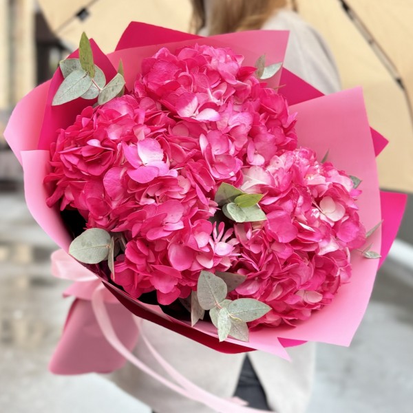 3 малиновые гортензии с эвкалиптом