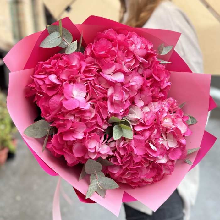 3 малиновые гортензии с эвкалиптом