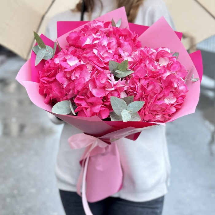 3 малиновые гортензии с эвкалиптом