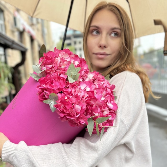 3 малиновые гортензии с эвкалиптом в коробке