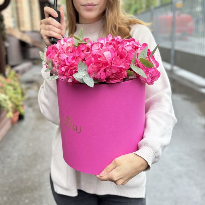 3 малиновые гортензии с эвкалиптом в коробке