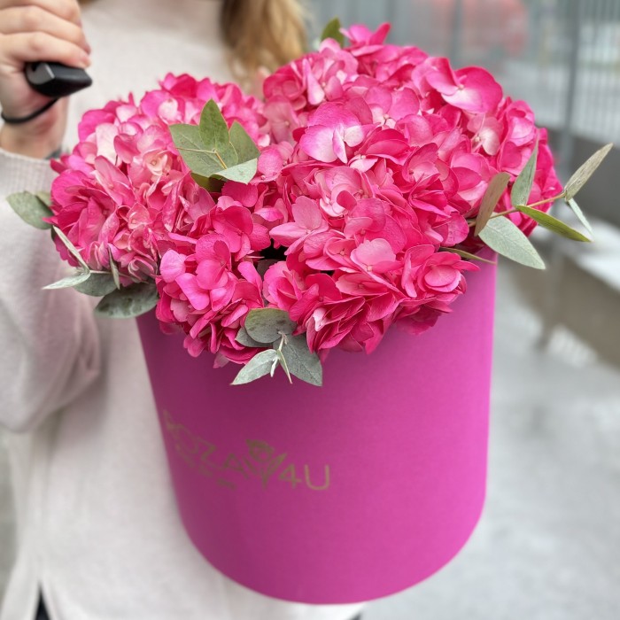 3 малиновые гортензии с эвкалиптом в коробке