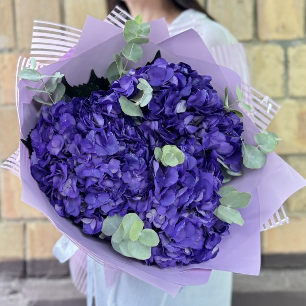 3 пурпурные гортензии с эвкалиптом