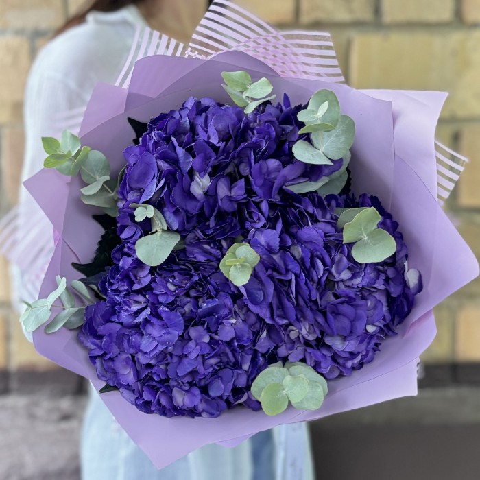 3 пурпурные гортензии с эвкалиптом