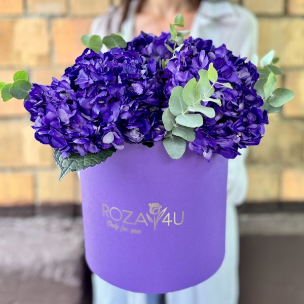 3 пурпурные гортензии с эвкалиптом в коробке