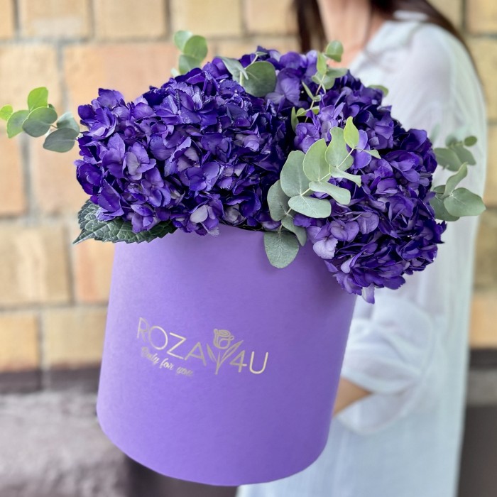 3 пурпурные гортензии с эвкалиптом в коробке