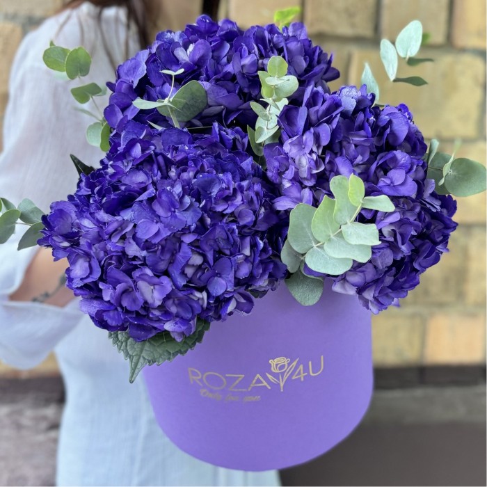 3 пурпурные гортензии с эвкалиптом в коробке