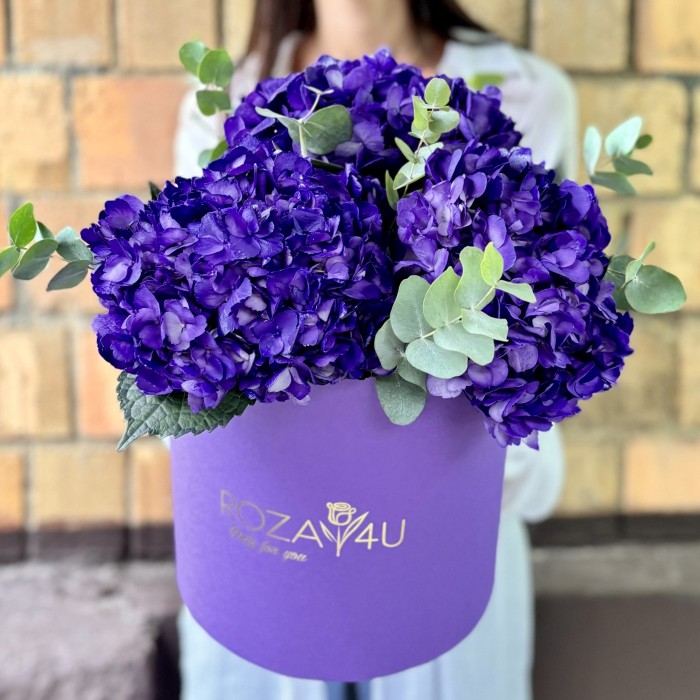 3 пурпурные гортензии с эвкалиптом в коробке
