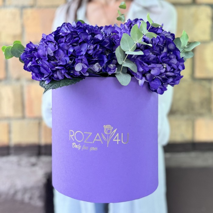 3 пурпурные гортензии с эвкалиптом в коробке