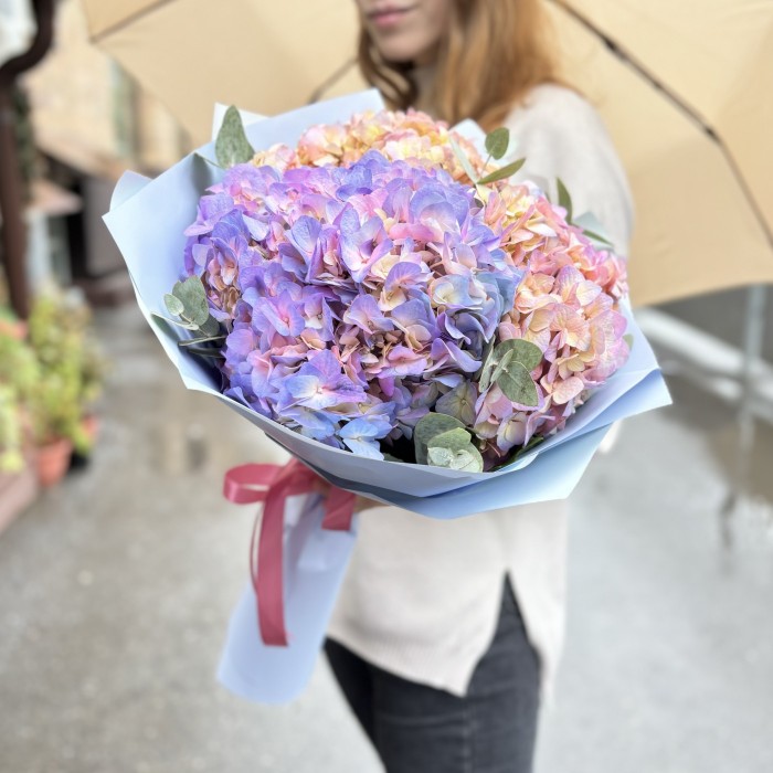 3 радужные гортензии с эвкалиптом