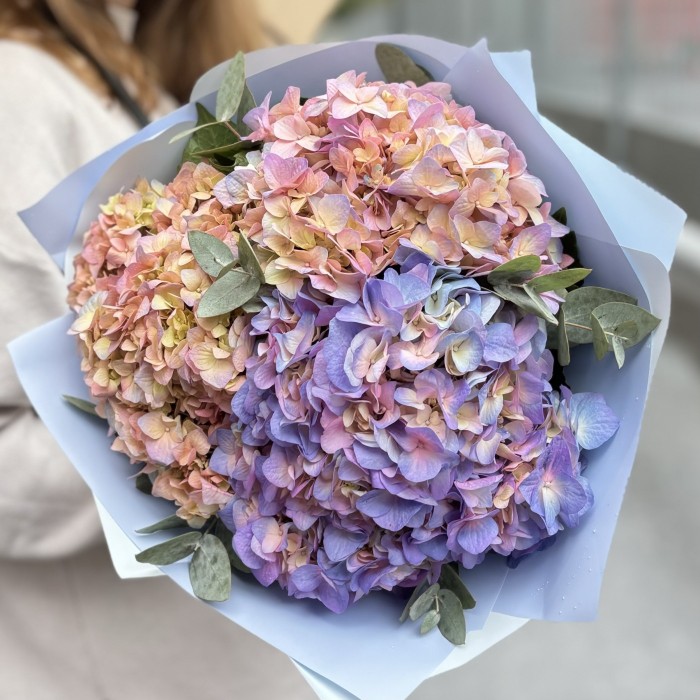 3 радужные гортензии с эвкалиптом