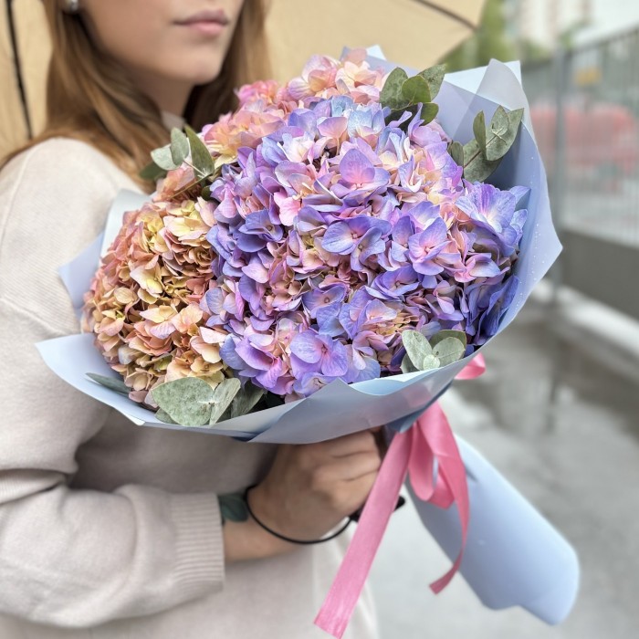 3 радужные гортензии с эвкалиптом