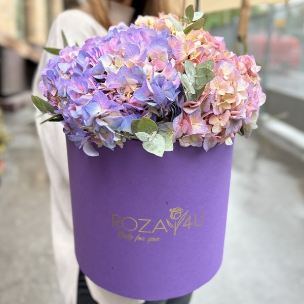 3 радужные гортензии с эвкалиптом в коробке