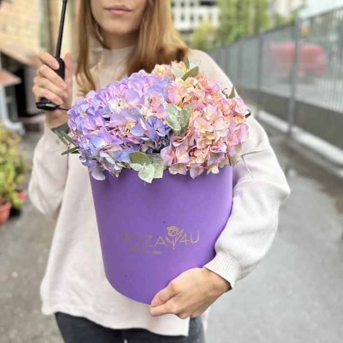 3 радужные гортензии с эвкалиптом в коробке