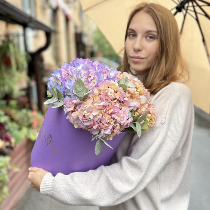 3 радужные гортензии с эвкалиптом в коробке