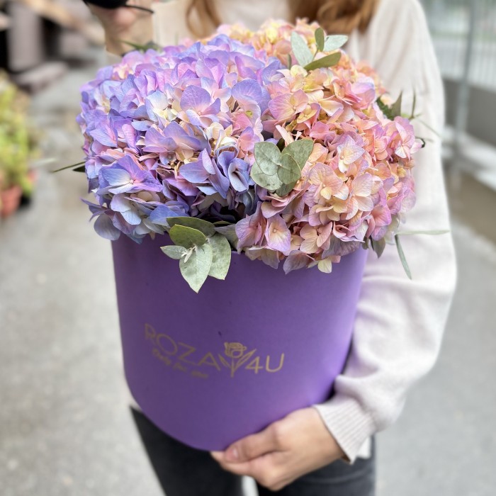 3 радужные гортензии с эвкалиптом в коробке
