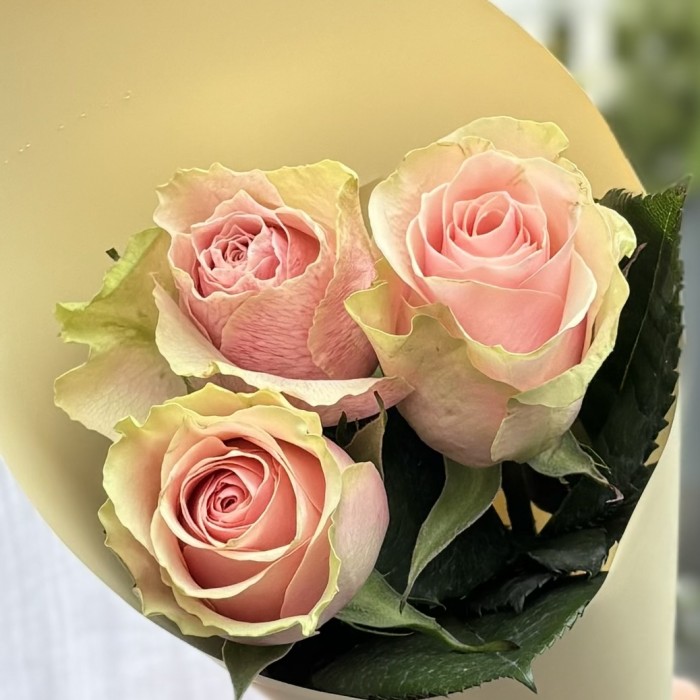 3 розы Фруттето