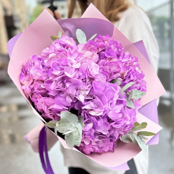 3 сиреневые гортензии с эвкалиптом