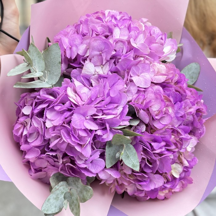 3 сиреневые гортензии с эвкалиптом