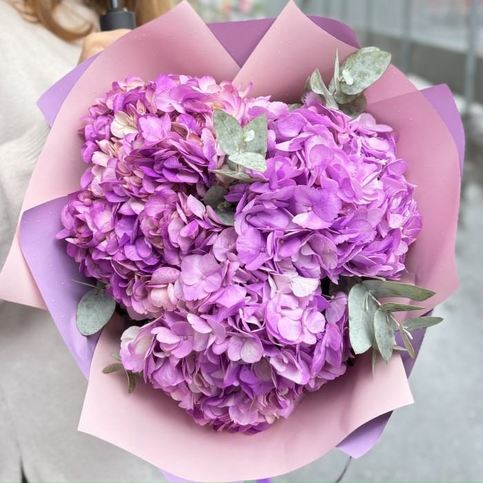 3 сиреневые гортензии с эвкалиптом