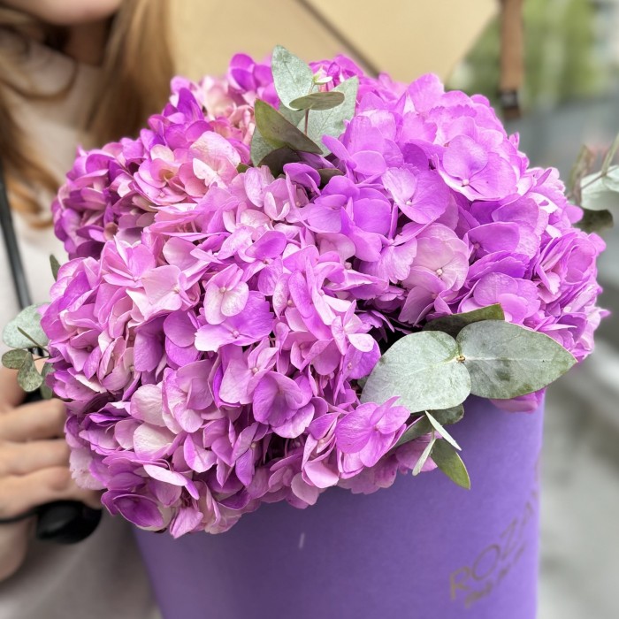 3 сиреневые гортензии с эвкалиптом в коробке
