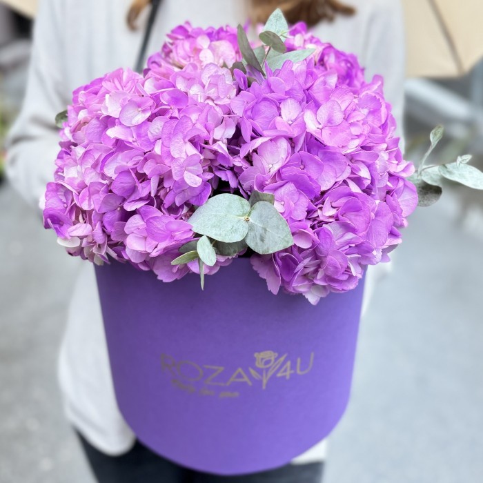 3 сиреневые гортензии с эвкалиптом в коробке