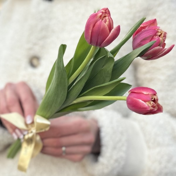 3 красных тюльпана Коламбус