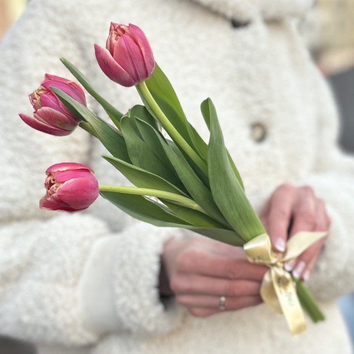 3 красных тюльпана Коламбус