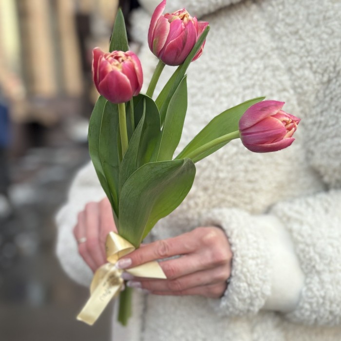 3 красных тюльпана Коламбус