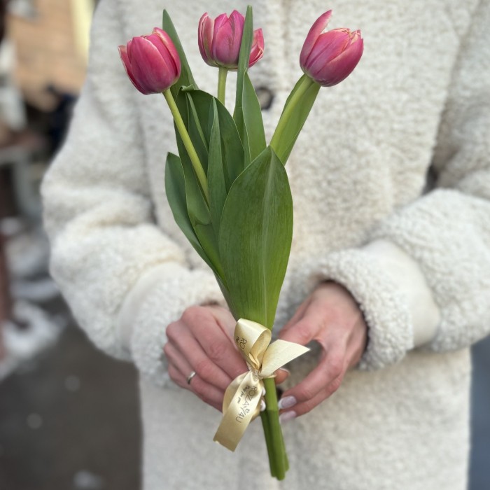 3 красных тюльпана Коламбус