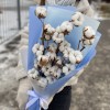 3 ветки хлопка