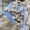 3 ветки хлопка