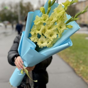 3 зеленых гладиолуса 3 зеленых гладиолуса