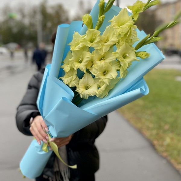 3 зеленых гладиолуса