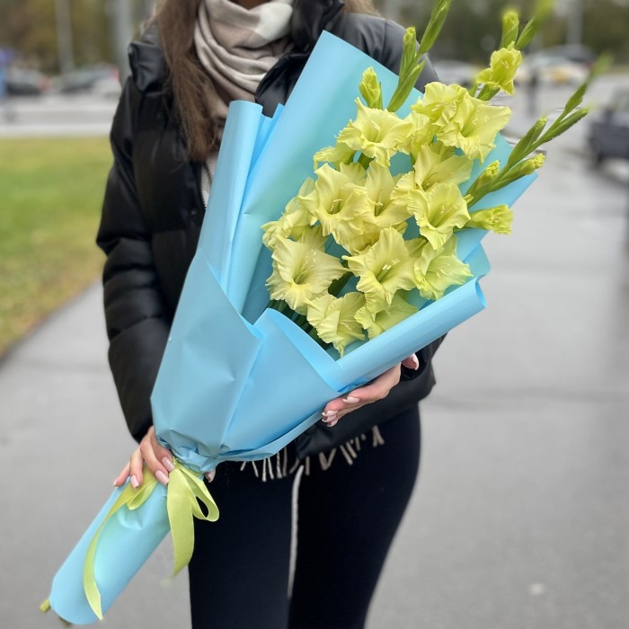 3 зеленых гладиолуса