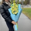 3 зеленых гладиолуса