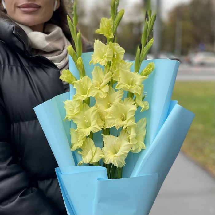 3 зеленых гладиолуса